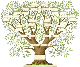 arbre genealogique